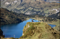 Event Tages Tour - 4 Seen Fahrt